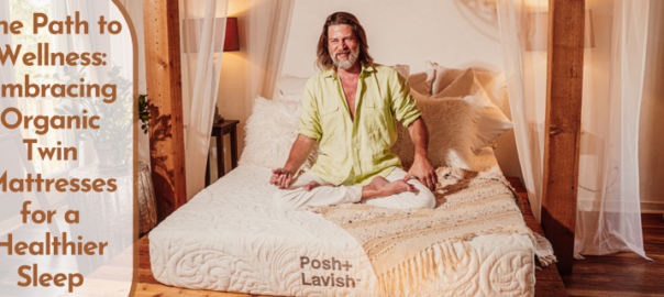 austinnaturalmattress organictwinmattress