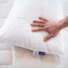 np bedding7984 fd 1000x1000.jpg