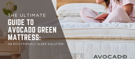 Austin Natural Mattress | Avocado Green Mattress