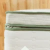 green box top content image plush.webp