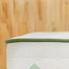 green standard content image firm.webp