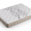 moksha firm nmhmof isoangle3.png