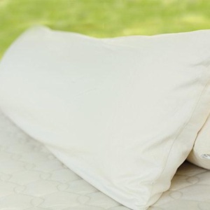 organic body pillow1 760x480.jpg