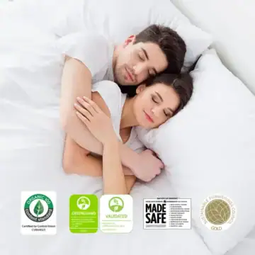 1241845792zr logos 1000x1000.webp