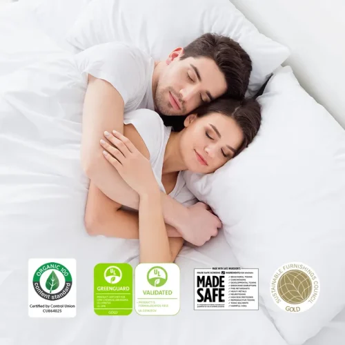 1241845792zr logos 1000x1000.webp