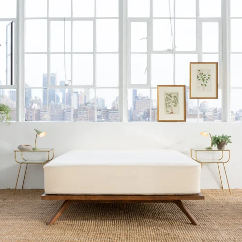 avocadogreenmattressorganicwaterproofpadprotectorcotton 800x.webp