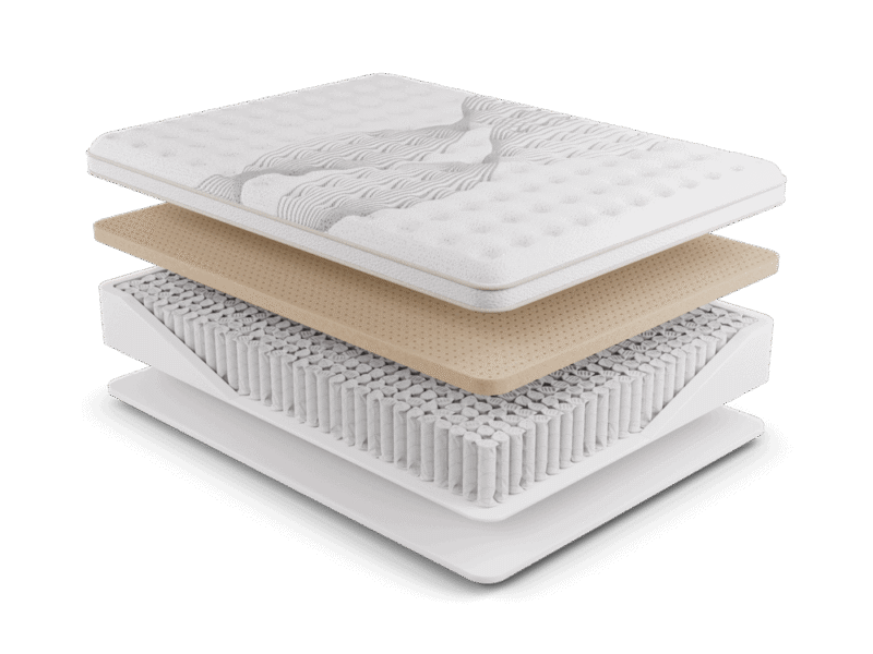 elysian firm nmhelf layer.png