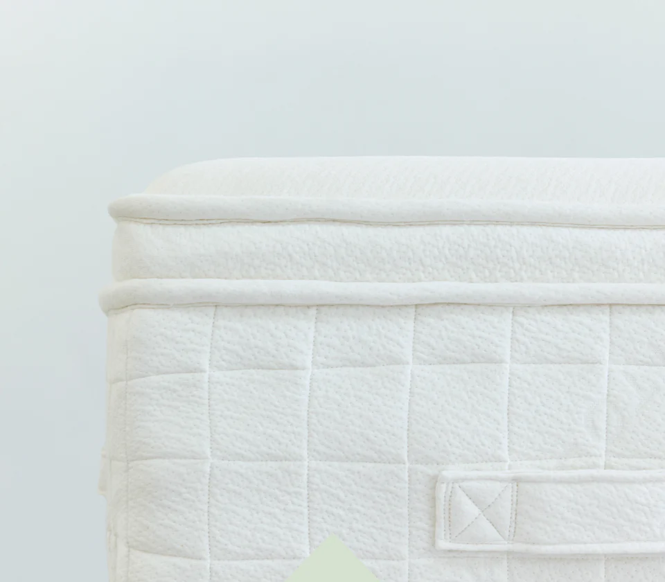 luxury plush content image.webp