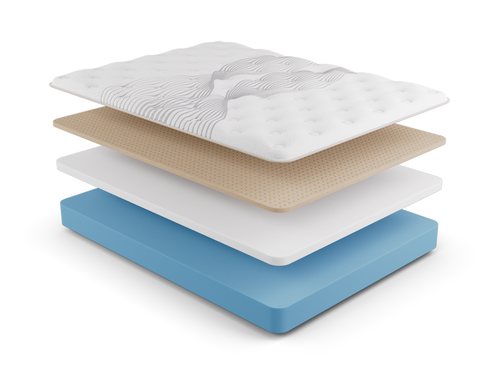 moksha firm nmhmof layer.png