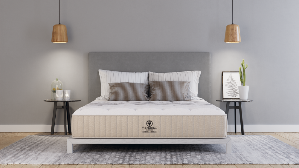 moksha medium nmhmom roomfront.png