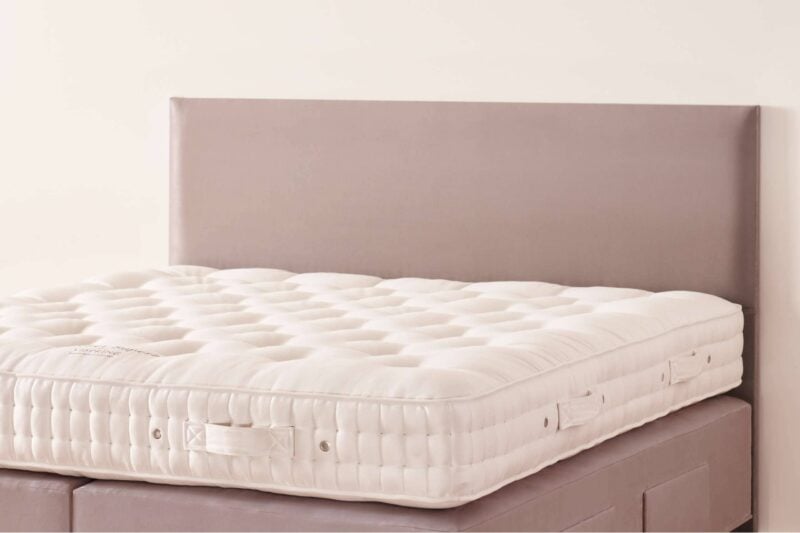 Muses headboard landscape 1 scaled 1.jpg muses headboard landscape 1 scaled 1.jpg