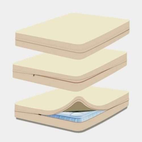 organic encasement pic 2 1.jpg