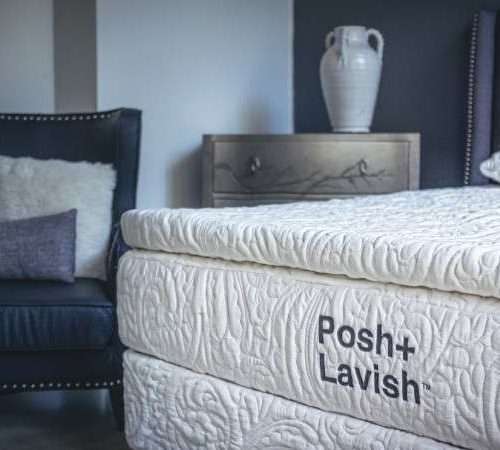 reawakenposh lavish.jpg