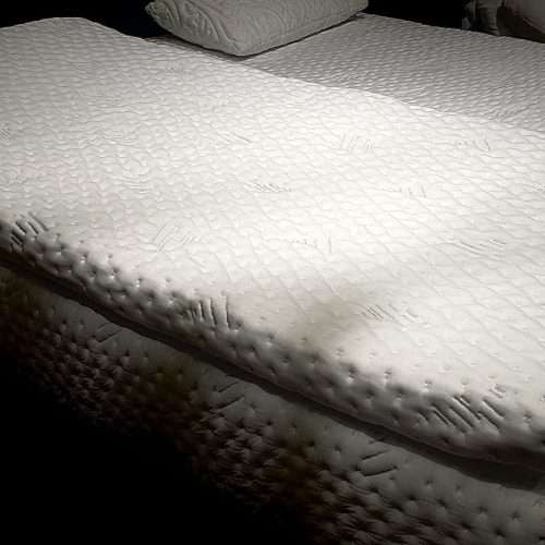 resized 20250507 143057.jpeg