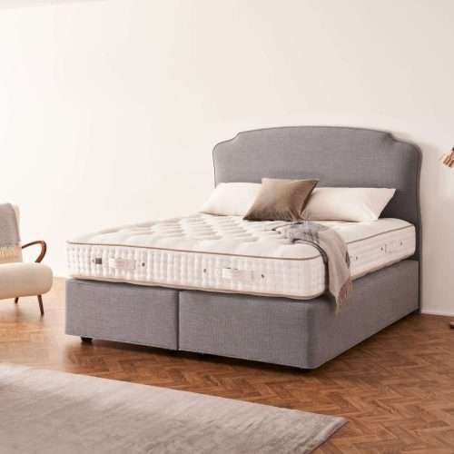 signatory superb statesman dressed 1 1.jpg