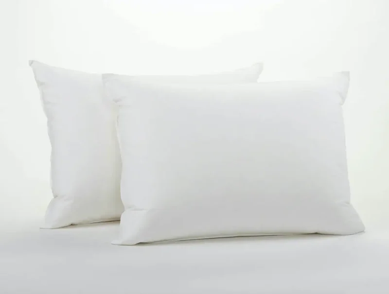 down pillow insert f6f22cd1 f95a 46e0 81a1 34012edd571f.webp