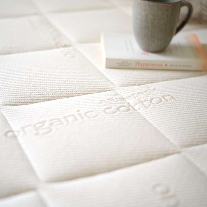 dsc 0686b 1000x1000.jpg