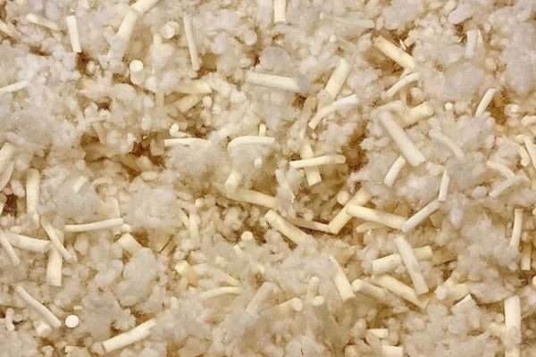 img product mylatex side pillow 01 600x400 1.jpg