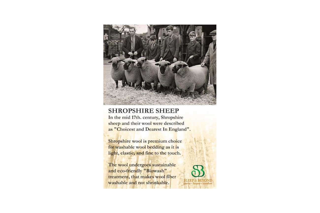 mywoolly latex topper pic 7.jpg