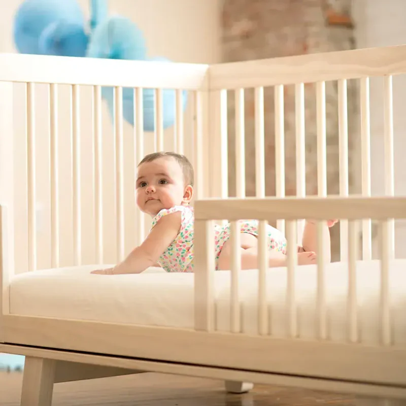 Np website images baby sc501 sc50w 3.webp np website images baby sc501 sc50w 3.webp