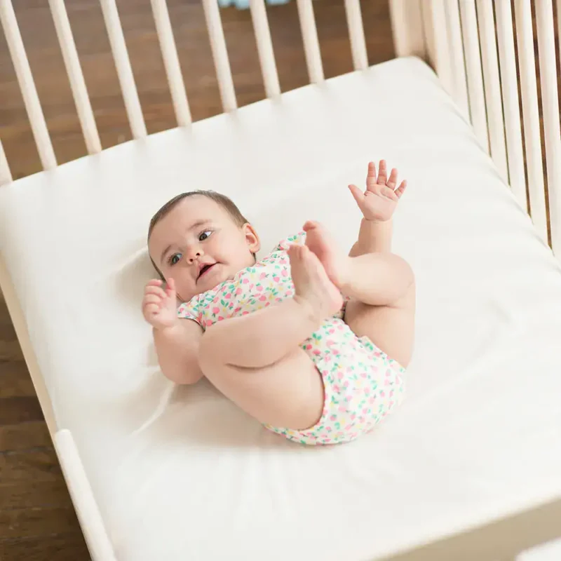 Np website images baby sc501 sc50w 4.webp np website images baby sc501 sc50w 4.webp