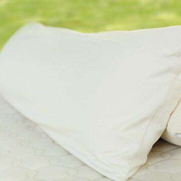 organic body pillow1 760x480.jpg