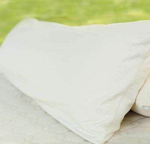 organic body pillow1 760x480.jpg