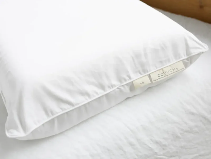 pdp turiya pillow a b51cf995 eec9 4ac1 b2cc eb50f542f9f3.webp