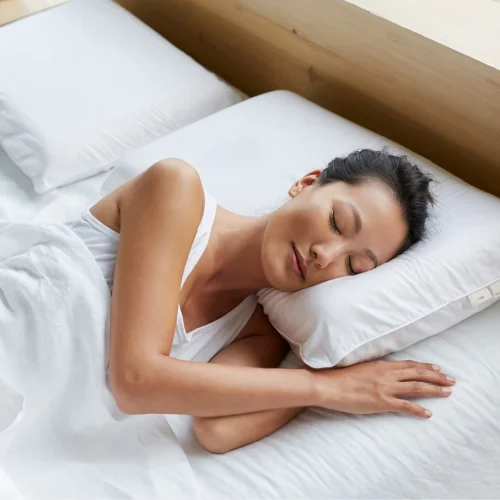 turiya pillow new 9ae953a6 216b 4b6d b3ea 2fdac728ce1a.webp